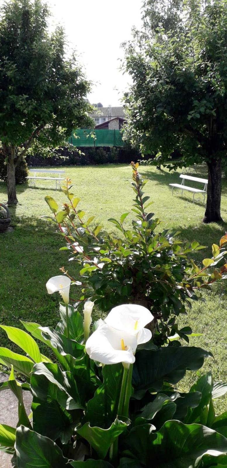 Maison Bidegain Berria Ispoure エクステリア 写真