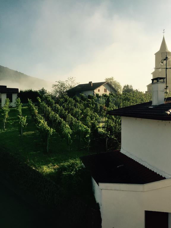 Maison Bidegain Berria Ispoure エクステリア 写真